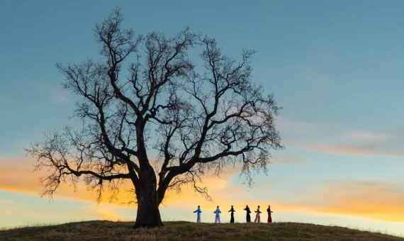 Personen unter einem Baum machen Qigong an einem Abend