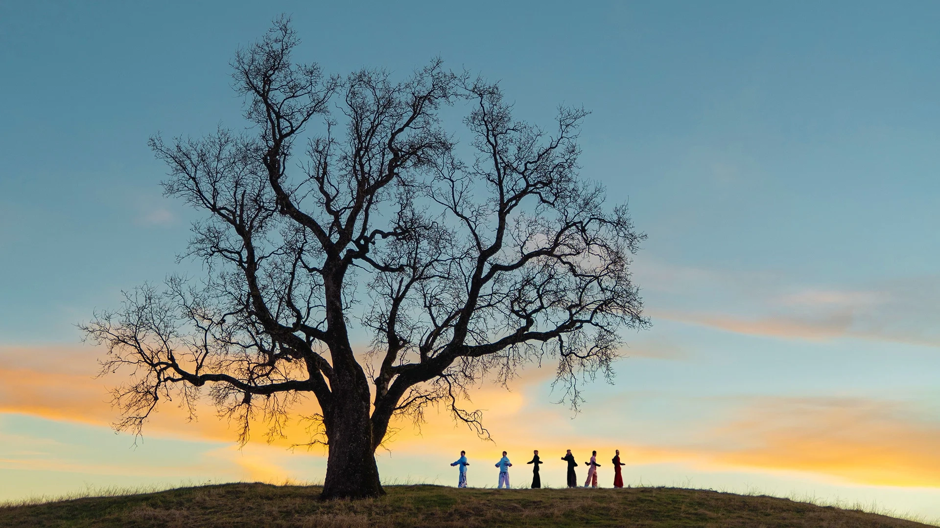 Personen unter einem Baum machen Qigong an einem Abend